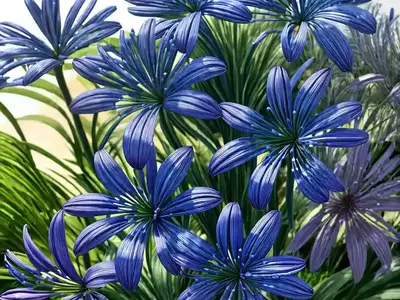 Agapanthus ‘Northern Star’ (African Lily)