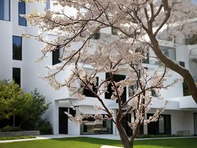 Amelanchier Stolonifera (Running Serviceberry)