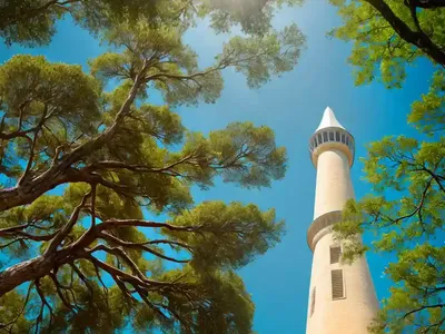 Bald Cypress (Taxodium Distichum ‘Peve Minaret’)