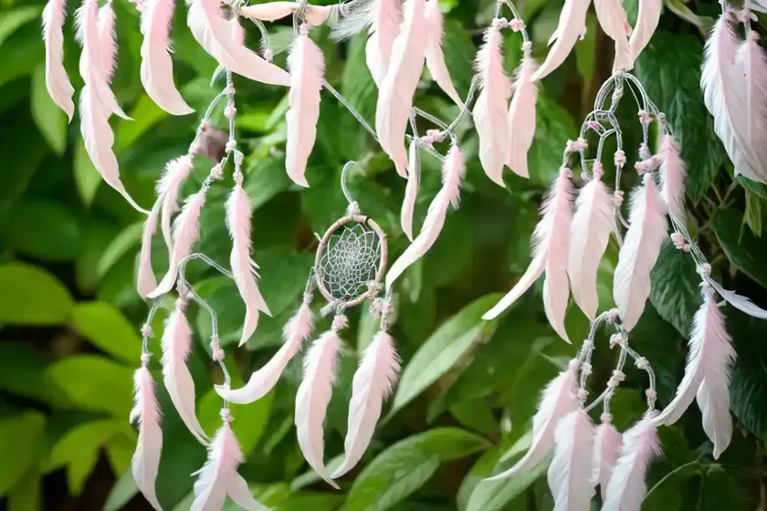 Beauty bush (kolkwitzia amabilis ‘maradco’ dream catcher) — photo 3