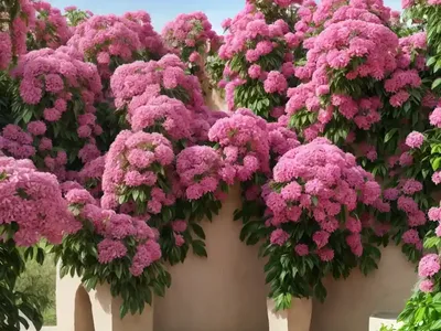 Bukhara Fleeceflower (Fallopia Baldschuanica)