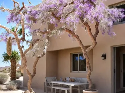 Desert Willow (Chilopsis Linearis LUCRETIA HAMILTON)
