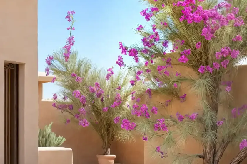 Desert willow (chilopsis linearis var. linearis) — photo 3