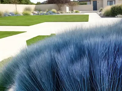 Festuca Glauca ‘Beyond Blue’ (Blue Fescue)