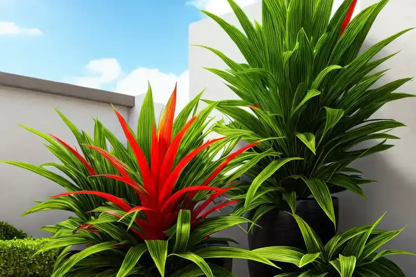 Flaming Sword (Vriesea Splendens) — photo 3
