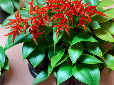Lipstick Plant (Aeschynanthus Radicans)