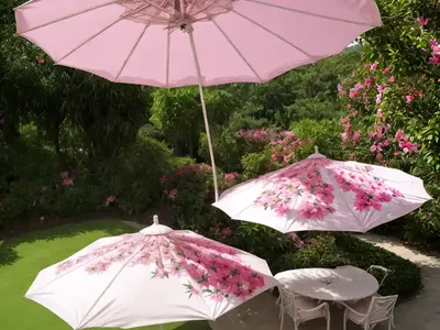 Mandevilla Sun Parasol� Giant Pink)
