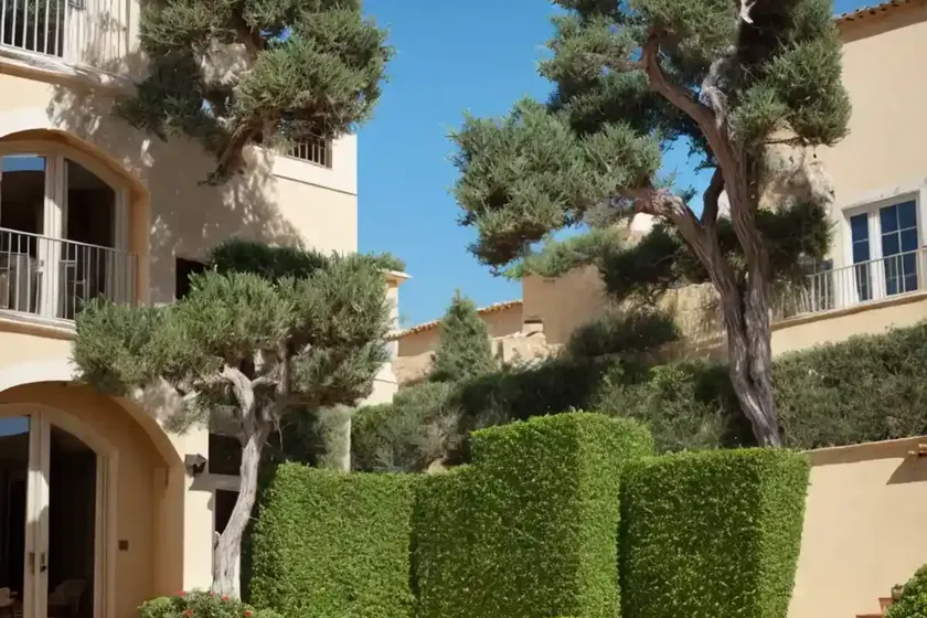 Mediterranean Cypress (Cupressus Sempervirens) — photo 2