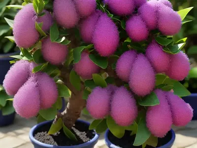 Mezereon (Daphne Mezereum)