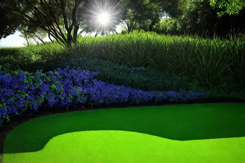 Mondo grass (black mondo grass) — photo 3