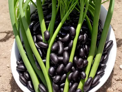 Phaseolus Vulgaris ‘� Black Beans)