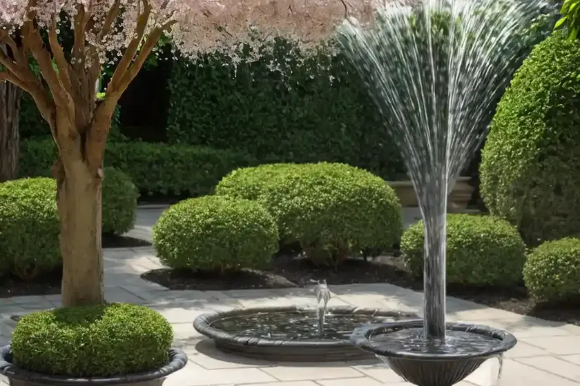 Prunus ‘snow fountains’ (weeping cherry) — photo 3