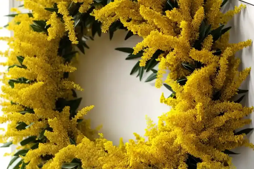 Solidago caesia (wreath goldenrod) — photo 2
