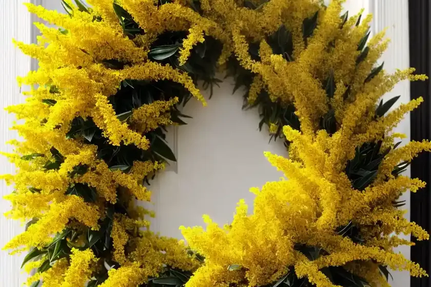 Solidago caesia (wreath goldenrod) — photo 3