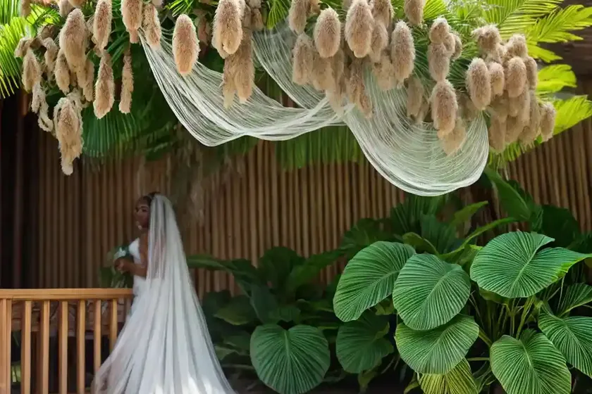 Tahitian bridal veil (gibasis geniculata) — photo 3