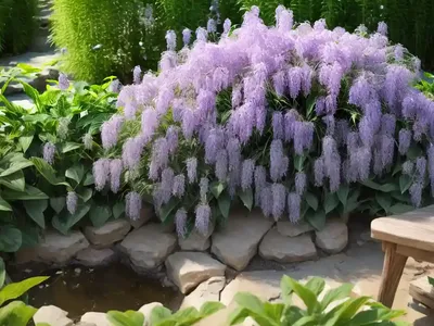 Water Willow (Justicia Tweediana)