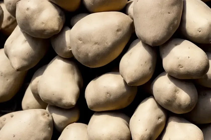 Water yam (dioscorea alata)