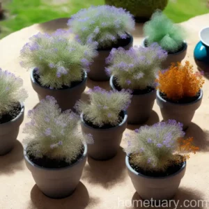 Aloinopsis Orpenii (Prepodesma Orpenii)