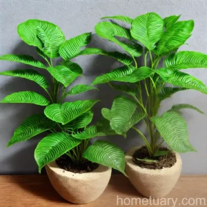 Bird’s Nest Fern (Asplenium Antiquum)